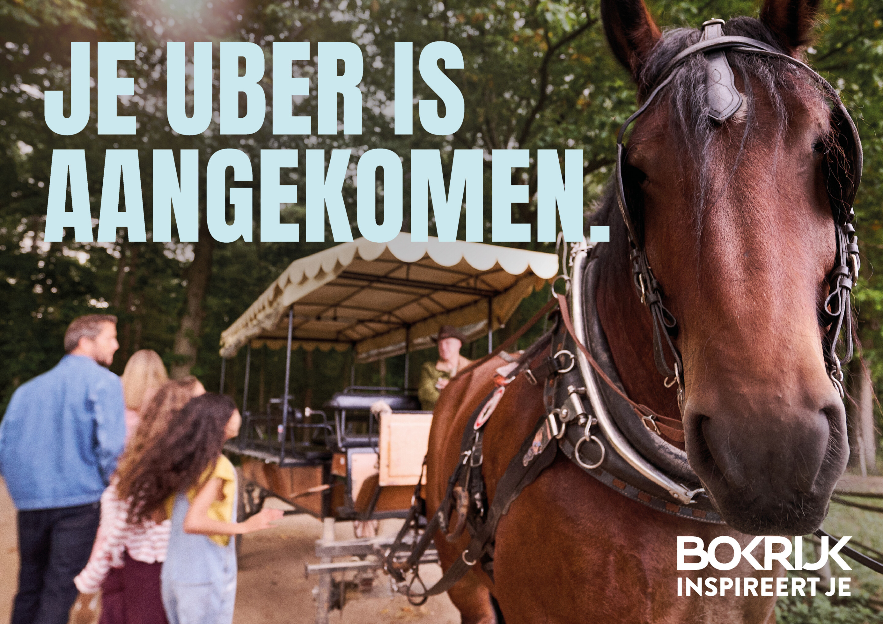 BOKR 0002 Campagnebeelden ANTON Liggend 4